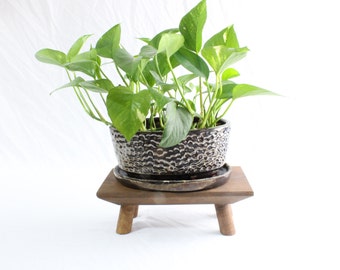 Rectangular Black Walnut Solid Wood 3 Inch Tall Indoor Plant Stand | Home Decor | Small Riser - Handmade in New Hampshire