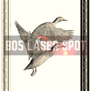 Digital Design File - Ducks Framed - Glowforge - Laser Ready - Engrave - SVG - 10&quot; x 6.7&quot; - Wood Engraving - 3D Illusion