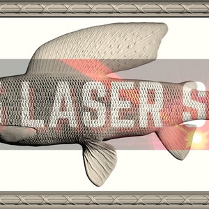 Puede incluir: Una imagen 3D detallada y renderizada de un pez con un cuerpo texturizado gris y una aleta blanca texturizada. El pez está enmarcado en un marco plateado adornado. El texto "800 LASER SPOT" se superpone al pez.