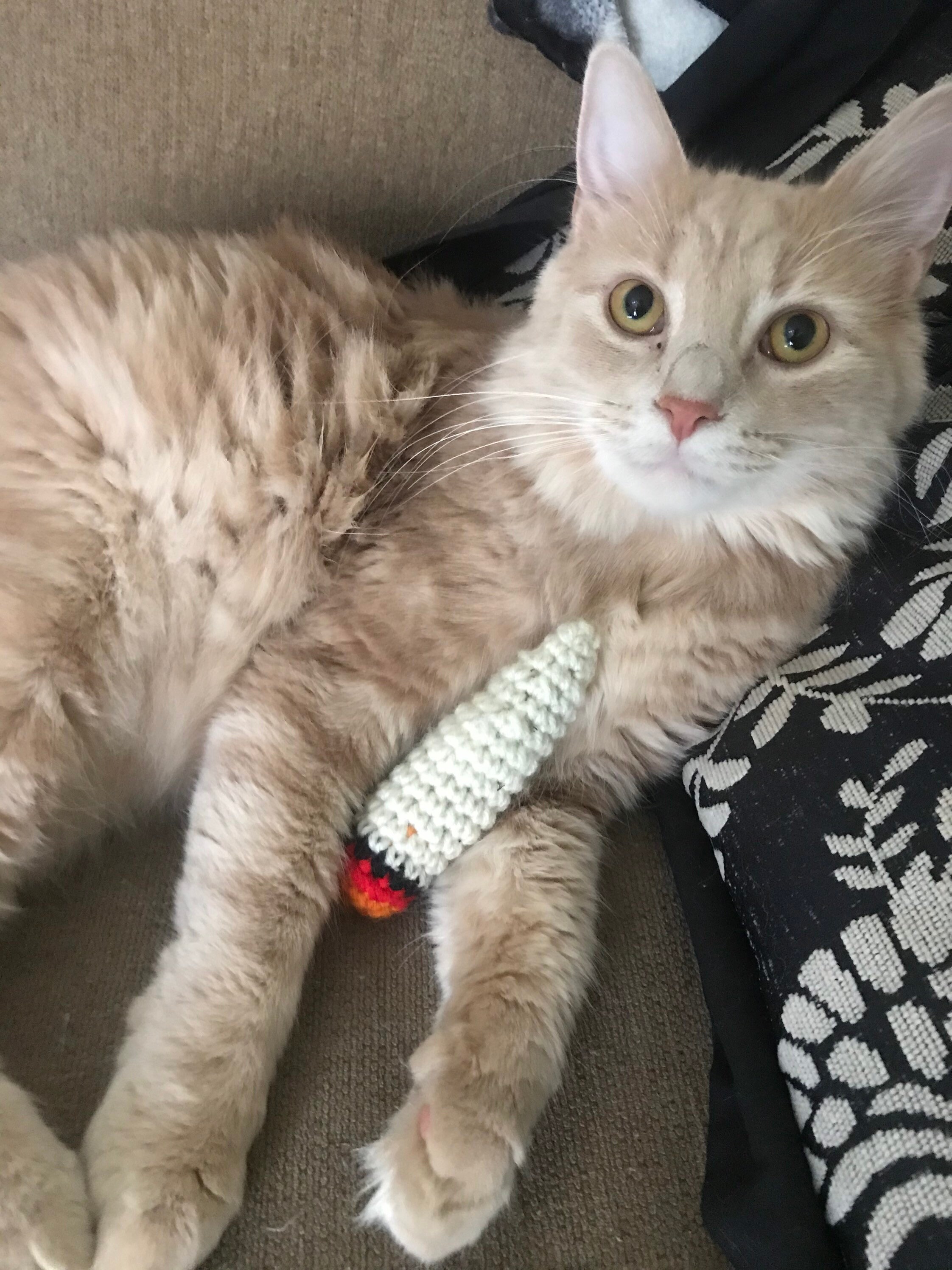 Crochet Kitty Catnip Doobie Cat toy Cat Doobie Kitty Blunt Etsy