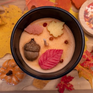 Autumn Court Soy Candle, ACOTAR inspired, Mist And Fury Candle Gift,  ACOMAF Scented Book Candle, Lucien, Eris, A Court of Thorns and Roses