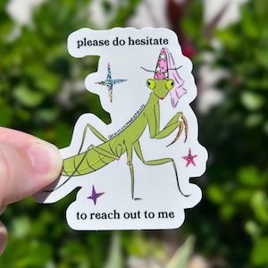 Pu&ograve; includere: Un adesivo con una mantide religiosa verde che indossa un cappello da mago rosa. L'adesivo ha il testo "please do hesitate to reach out to me". Nel design sono inclusi anche accenti di stelle glitterate.