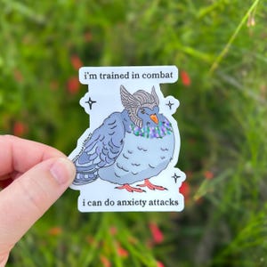 Pigeon Sticker, Warrior Pigeon Sticker, Funny Bird Sticker *WEATHERPROOF*