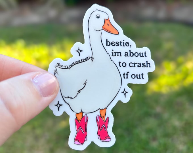 Bestie Im About To Crash Out Sticker, Funny Animal Decal, Weatherproof Vinyl