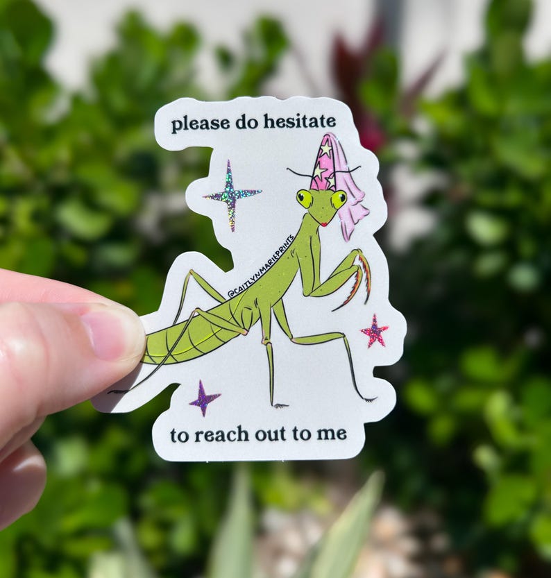 Pu&ograve; includere: Un adesivo con una mantide religiosa verde che indossa un cappello da mago rosa. L'adesivo ha il testo "please do hesitate to reach out to me". Nel design sono inclusi anche accenti di stelle glitterate.