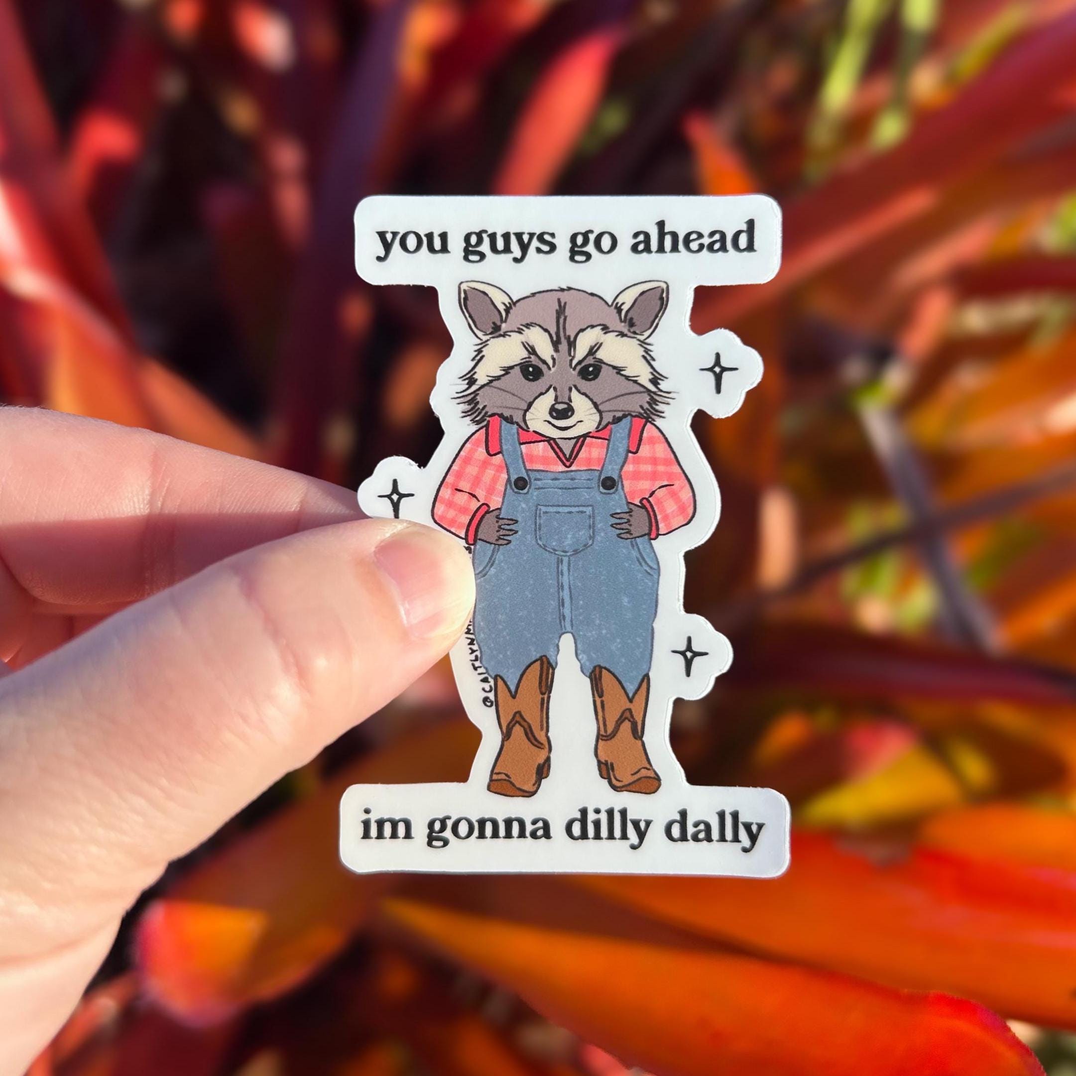 You Guys Go Ahead Im Gonna Dilly Dally Sticker, Funny Raccoon Sticker, Western Animal Stickers, Vinyl Weatherproof Sticker