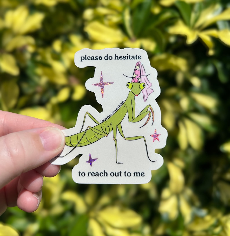 Pu&ograve; includere: Un adesivo con una mantide religiosa verde che indossa un cappello da festa e tiene le braccia alzate. L'adesivo ha il testo "please do hesitate to reach out to me" ed &egrave; decorato con stelle.