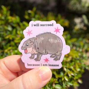 Puede incluir: Una pegatina troquelada con fondo rosa claro que presenta una ilustraci&oacute;n de dibujos animados de un hipop&oacute;tamo gris. El texto dice i will succeed en la parte superior y because i am insane en la inferior, con estrellas rosas y blancas.