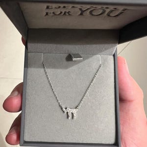 Chai Necklace for Women, Diamond Hebrew Letters Pendant, Jewish Judaica Jewelry, Jewish Necklace, Bat Mitzvah Gift, Israeli Gift