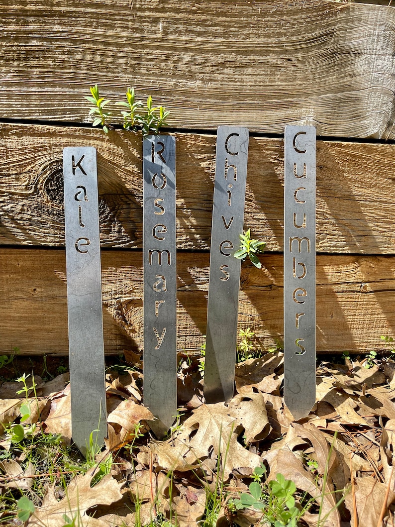 May include: Four metal garden markers with the words "Kale", "Rosemary", "Chives", and "Cucumbers" cut out. The markers are standing in a bed of brown leaves and green grass.