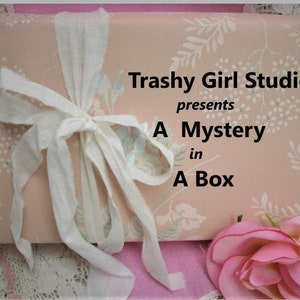 May include: A pink gift box with a floral pattern is tied with a white ribbon. The text "Trashy Girl Studios presents A Mystery in A Box" is displayed on the box. A pink rose is in the foreground.
