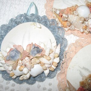 Sand Dollar and Sea Shells Wall Hanger Decorations Shabby 1980's ...