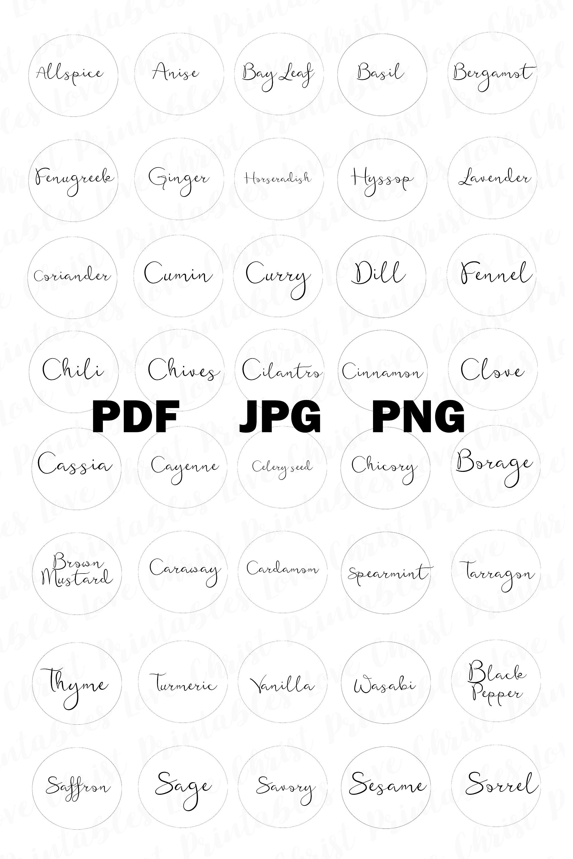 circle spice labels minimal spice label pantry label etsy
