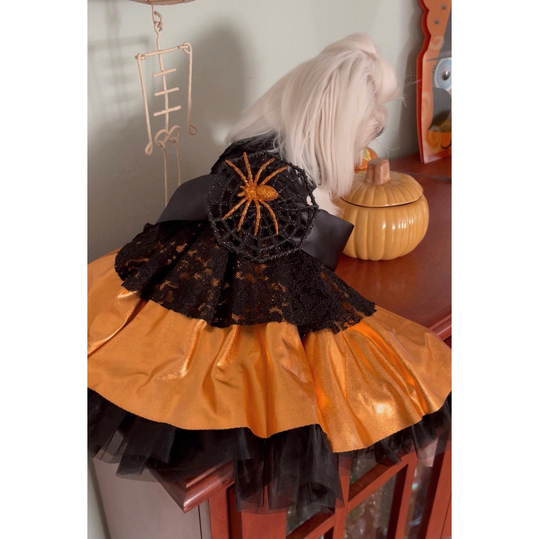 Dog XS Halloween Fall Autumn Party Costume or Dress. Fits Etsy