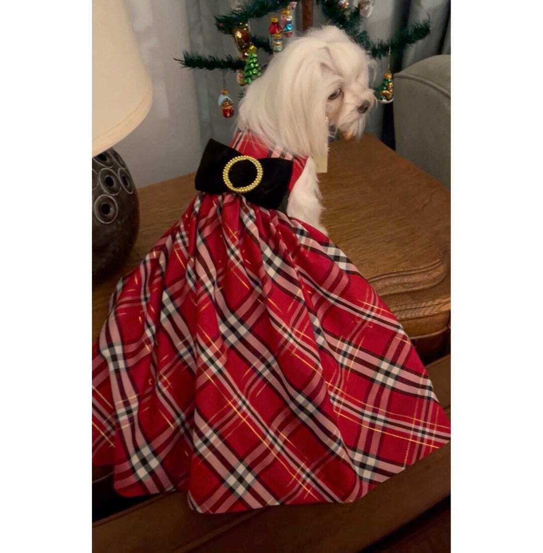 Dog XXS Plaid Holiday Party Gown With Velvet Bow for Any Etsy