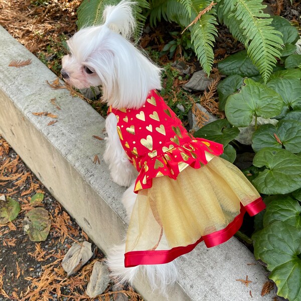 Tiny Toy Chihuahua Clothes Etsy