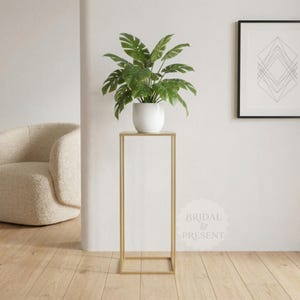 May include: A gold metal plant stand with a square frame, holding a white ceramic pot with a green plant. The plant has large, split leaves. The stand is in a room with a white wall and a framed geometric art piece.