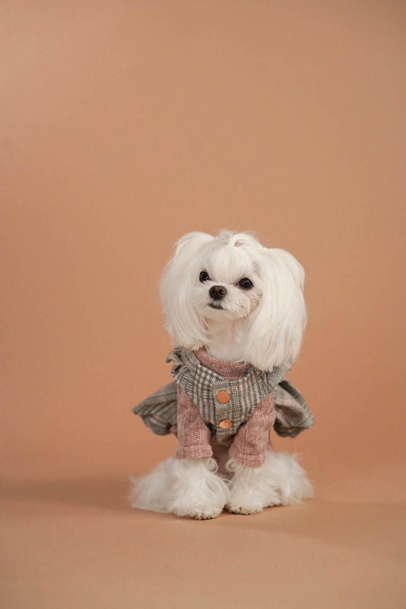 Grey and Pink Plaid Dress Summer Spring Luxury Dog Clothes Etsy