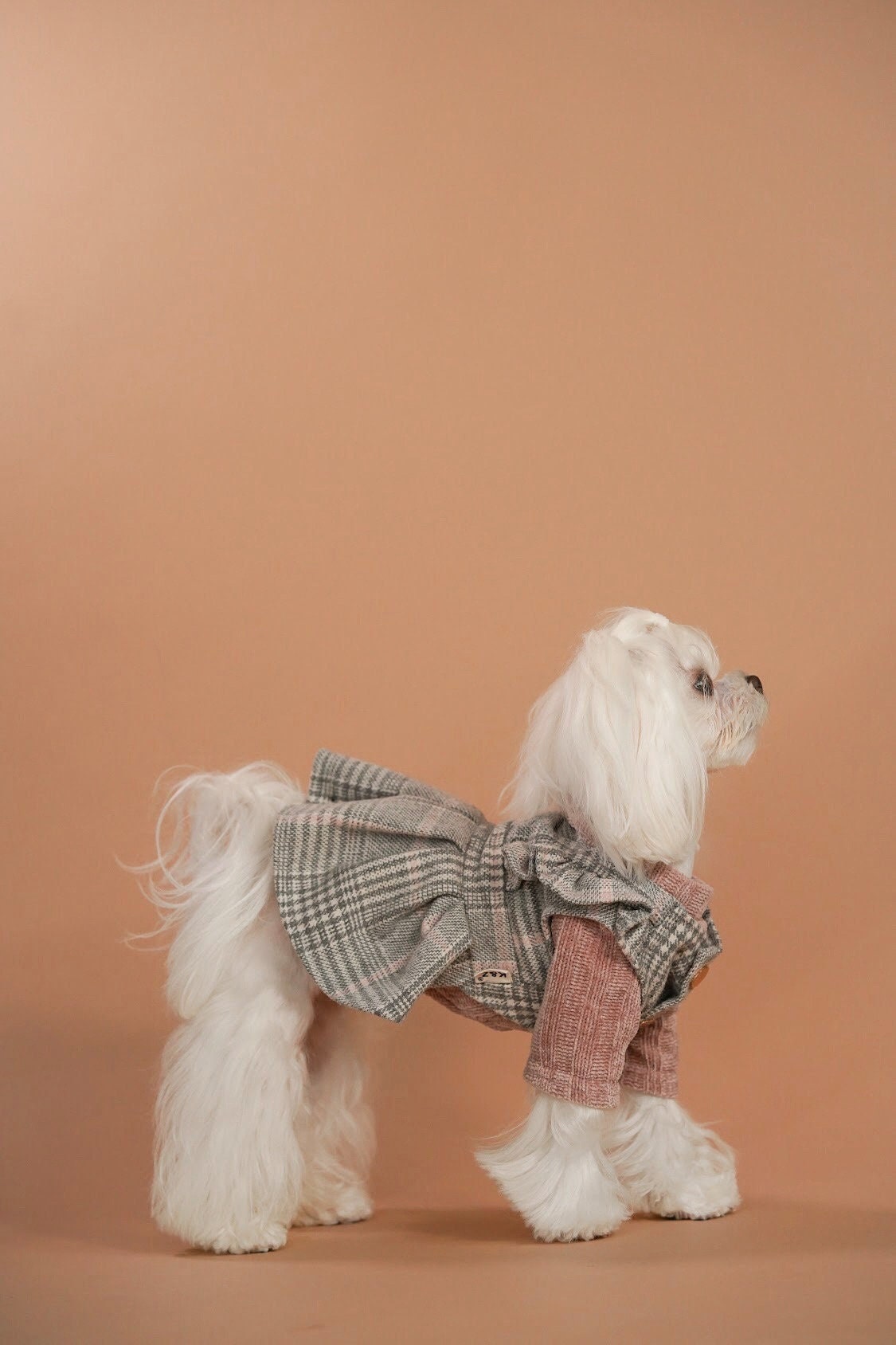 Cat Clothes Lapel Neck Fashion Pet Princess Skirt Puppy Party Dress Up  Plaid Skirt Summer Dog Dress Pet Clothing for Cats Dog Girls 