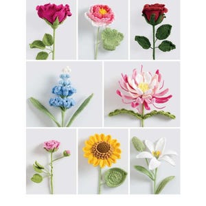 Engels gehaakt e-boek, cro669 gehaakte bloemen, gehaakte bloemenboeketpatronen, instant download