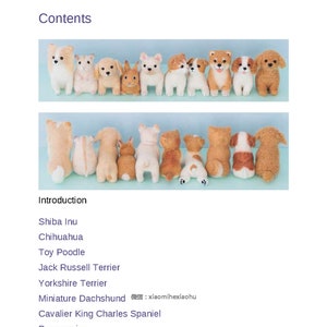 nf14 english needle felting ebook, needle felt cute animals, cats, dog, patterns written in english, instant download or receive via email image 1