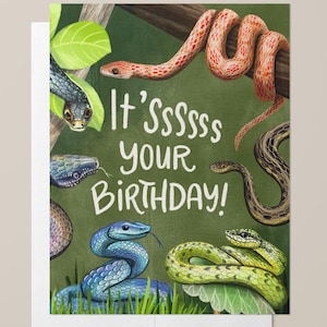 Puede incluir: Tarjeta de cumpleaños con ilustraciones de varias serpientes coloridas sobre un fondo verde. La tarjeta dice "It'sssss YOUR BIRTHDAY!" en letras blancas. Las serpientes son de color azul, verde, marrón y naranja.