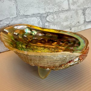 May include: An iridescent abalone shell bowl featuring a natural, textured exterior in shades of brown and tan, with a polished, shimmering interior displaying vibrant swirls of green, gold, and purple, supported by a small, translucent base.