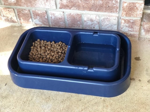 Anti ant cat bowl deals