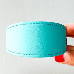 Bubblegum or tif color dog collar, Sighthound collar, fancy dog collar, iggy collar, italian greyhound collar, mint dog collar, soft collar