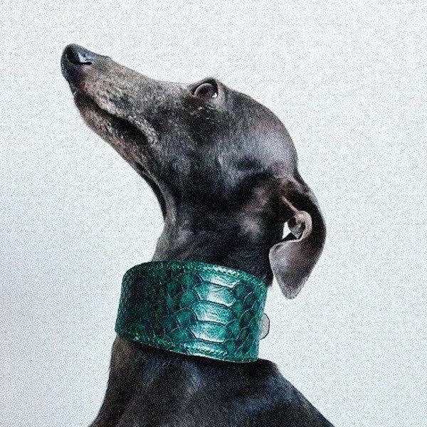 Emerald snake collar, iggy collar, windspiel Halsband, Windhundhalsband, green dog collar, fancy dog collar, iggy puppy collar, dog gift