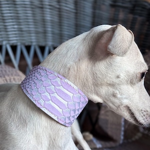 Könnte beinhalten: Ein breites Hundehalsband mit einem texturierten, irisierenden Schuppenmuster in Lavendel und Silber. Das Halsband wird um den Hals eines hellen, kurzhaarigen Hundes getragen und zeigt ein reptilienartiges Design mit sichtbaren Nähten.