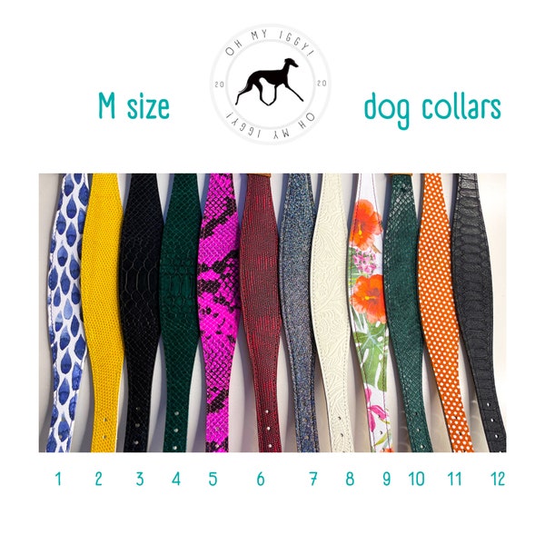 Leather dog collar medium breeds, Whippet collar, Poodle collar, luxury dog collar, sighthound collar, designer dog collar, fancy dog collar