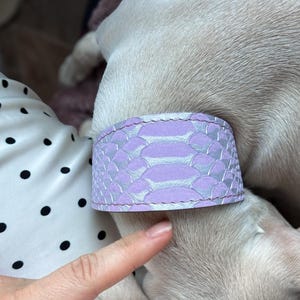 Lavender Leather Dog Collar, Lilac Python Embossed Collar, Pearlescent Genuine Leather, Soft Luxury Collar for Small & Medium Dogs