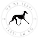 OhMyIggy store logo