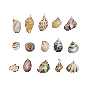 2pcs Natural Shell Pendants With Metallic Edges, Shell Nakelace Ornaments, Shell pandent For Keychain