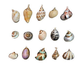 Natuurlijke schelphangers met metalen randen, kettingornamenten - 2 stuks