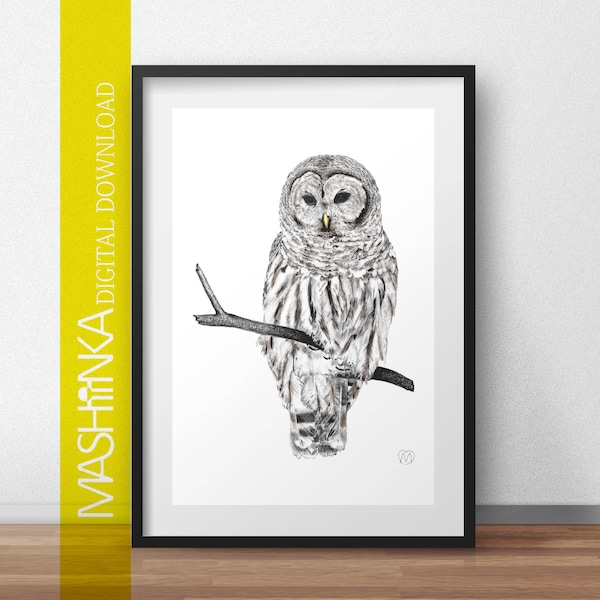 Owl ink drawing, Wall Art Prints, Nursery Decor, Birds, Instant Download, Printable, Animals, Graphic, Hand drawn, Kids, Set