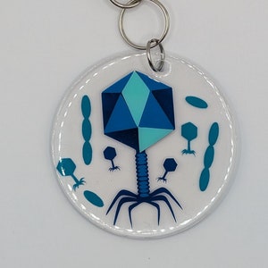 Puede incluir: Un llavero de bacteriófago azul y turquesa con fondo blanco. El bacteriófago es un virus que infecta las bacterias. El llavero está hecho de acrílico transparente y tiene un anillo y un clip de metal plateado.