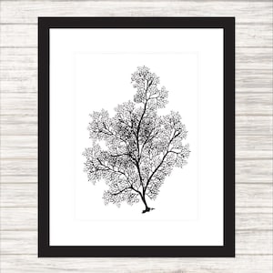 Sea Fan #1 - Black on White - Sealife - Wall Art, Poster, Printable PDF+JPG, Instant Download