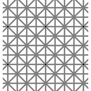The Hermann Grid Dot Optical Illusion - 12 Dot Illusion - Optical Illusion Print, Wall Art, Print, Poster, Printable PDF+JPG