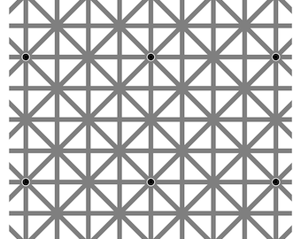 De Hermann Grid Dot optische illusie - 12 Dot Illusion - optische illusie print, kunst aan de muur, print, poster, afdrukbare PDF+JPG