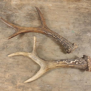 May include: A set of three ceramic mugs with a speckled, matte finish. The mugs are in shades of cream, light gray, and dark gray. Each mug has a simple, minimalist design, perfect for coffee or tea.