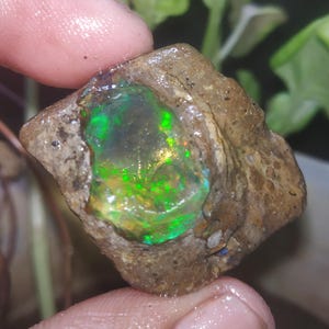 59.10ct Rare fire opal Ethiopian opal Raw crystal Opal Raw Rare Beautiful Opal Raw Natural Opal Raw multi flashy Opal Raw welo Opal Raw24x29