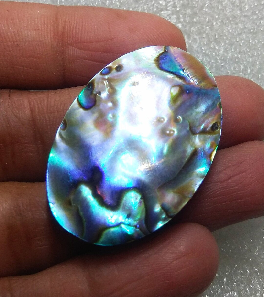 Abalone Shell Amazing Abalone Shell Natural Abalone Shell AAA Beautiful ...
