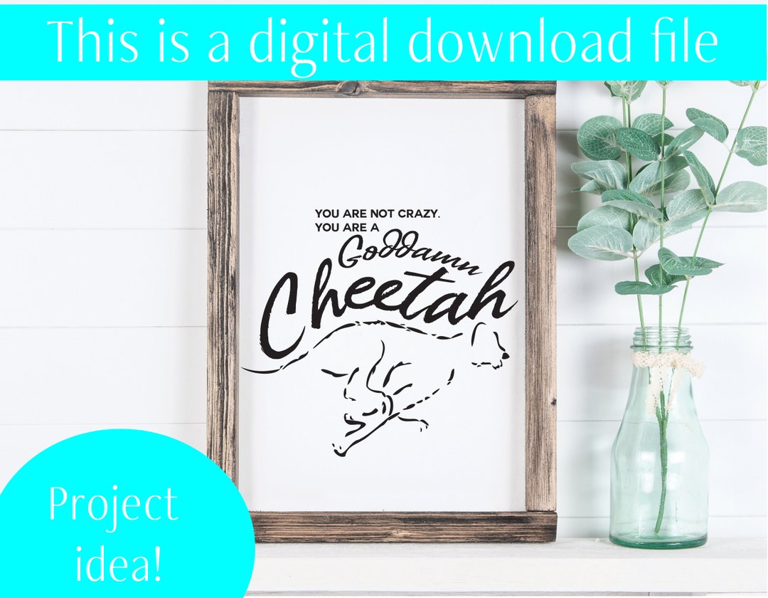 Glennon Doyle Quote, Untamed SVG, Goddamn Cheetah SVG, You Are a ...