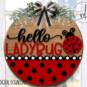 SVG - Hello Lady Bug avec motif coccinelle à pois noir et blanc et motif marguerite-Laser ready fichier-Cricut|DigitalDownload|Printemps|Été