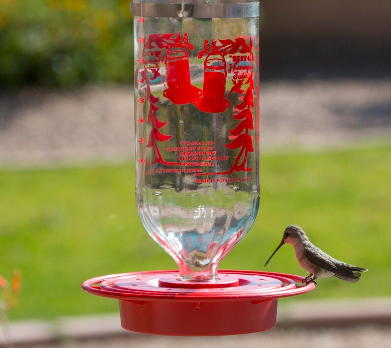 Best Hummingbird Feeder With Huge 32oz Glass Nectar Tank Bee Etsy