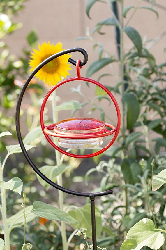 Best Small Glass Hummingbird Feeder With Red Perch New Bee Etsy