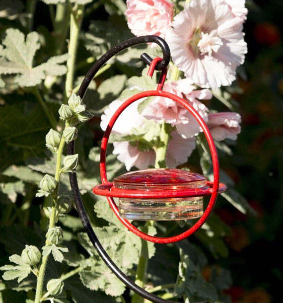 Best Small Glass Hummingbird Feeder With Red Perch New Bee Etsy