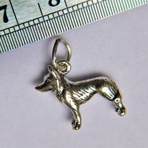 May include: A silver charm in the shape of a standing dog. The charm is about 1 inch tall and is detailed with fur and paws.